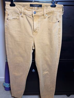 Liverpool Jeans Company Skinny Jeans in Camel